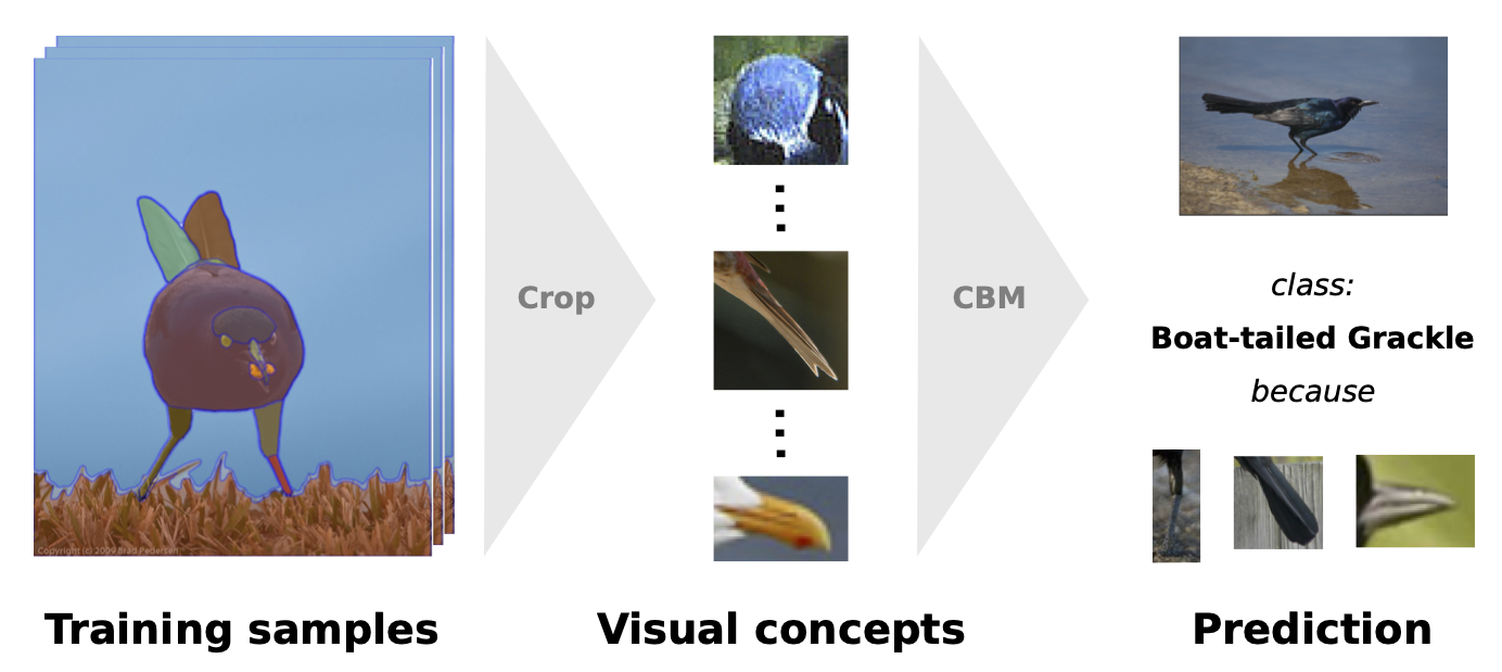 DCBM Example Explanations