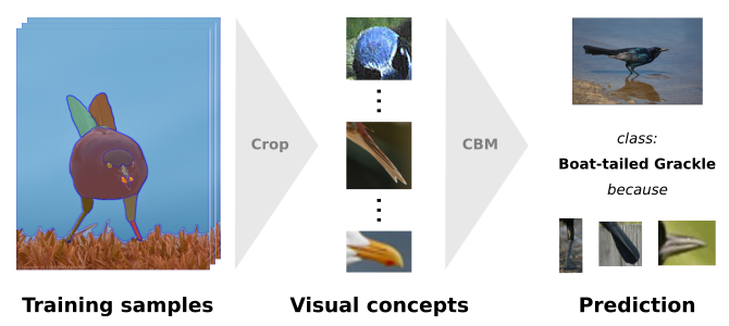 DCBM paper thumbnail